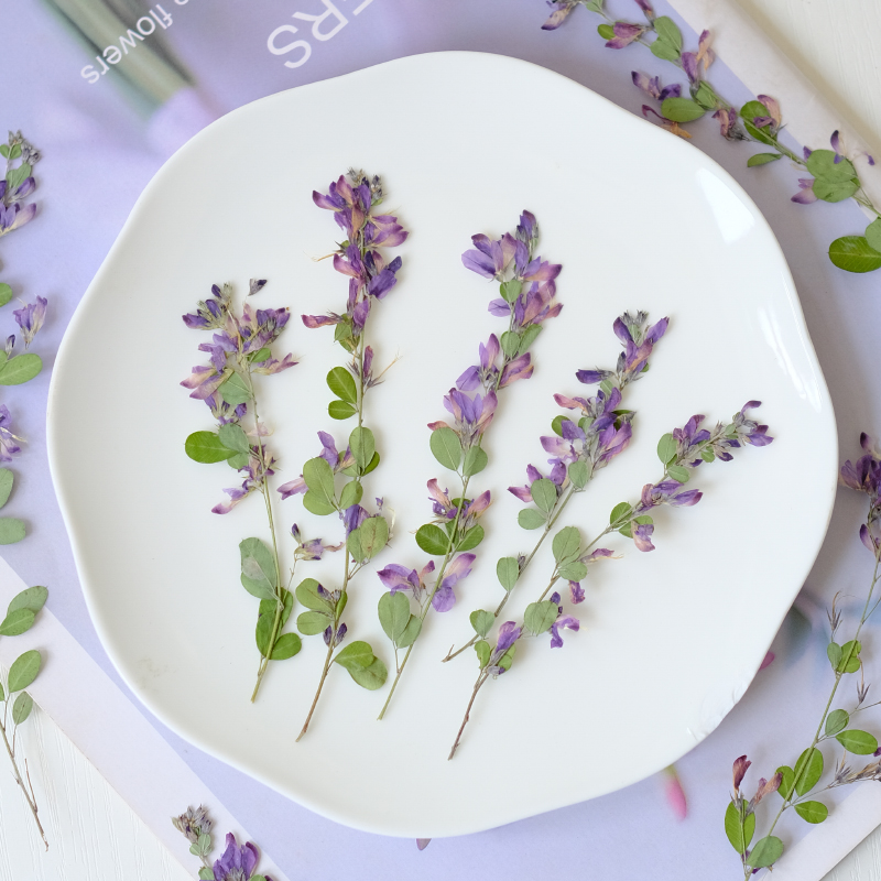 6 adet, doğa Lespedeza Formosa - Resin Art Baby incelemesi ve fiyatı