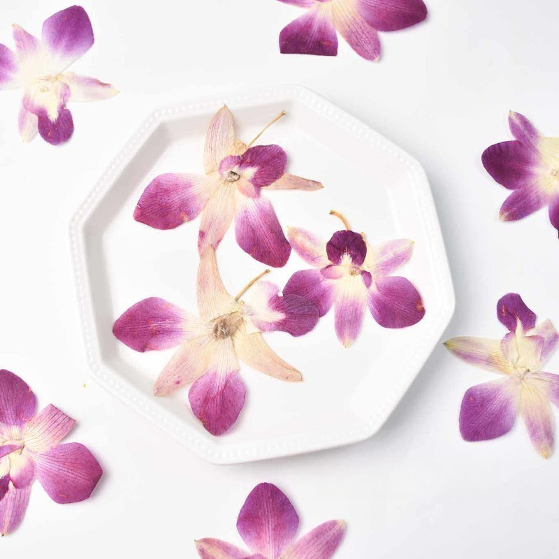 4 adet, Gerçek Preslenmiş Kele - Resin Art Baby incelemesi ve fiyatı