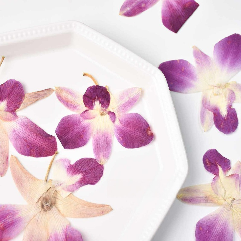 4 adet, Gerçek Preslenmiş Kele - Resin Art Baby incelemesi ve fiyatı