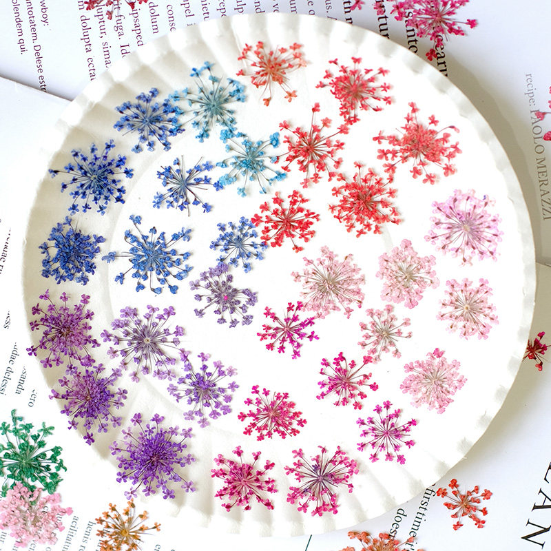 24 adet, 2-2.5cm, Doğal Boyalı - Resin Art Baby incelemesi ve fiyatı