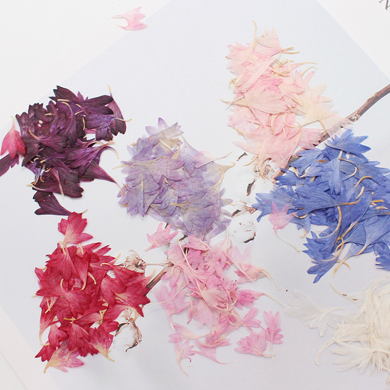 20 Bitki Örneği, Peygamber Çiç - Resin Art Baby incelemesi ve fiyatı